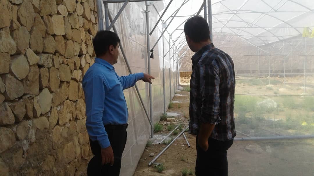 کوچک مقیاس 2