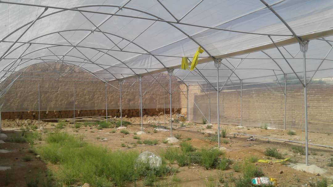 کوچک مقیاس 3